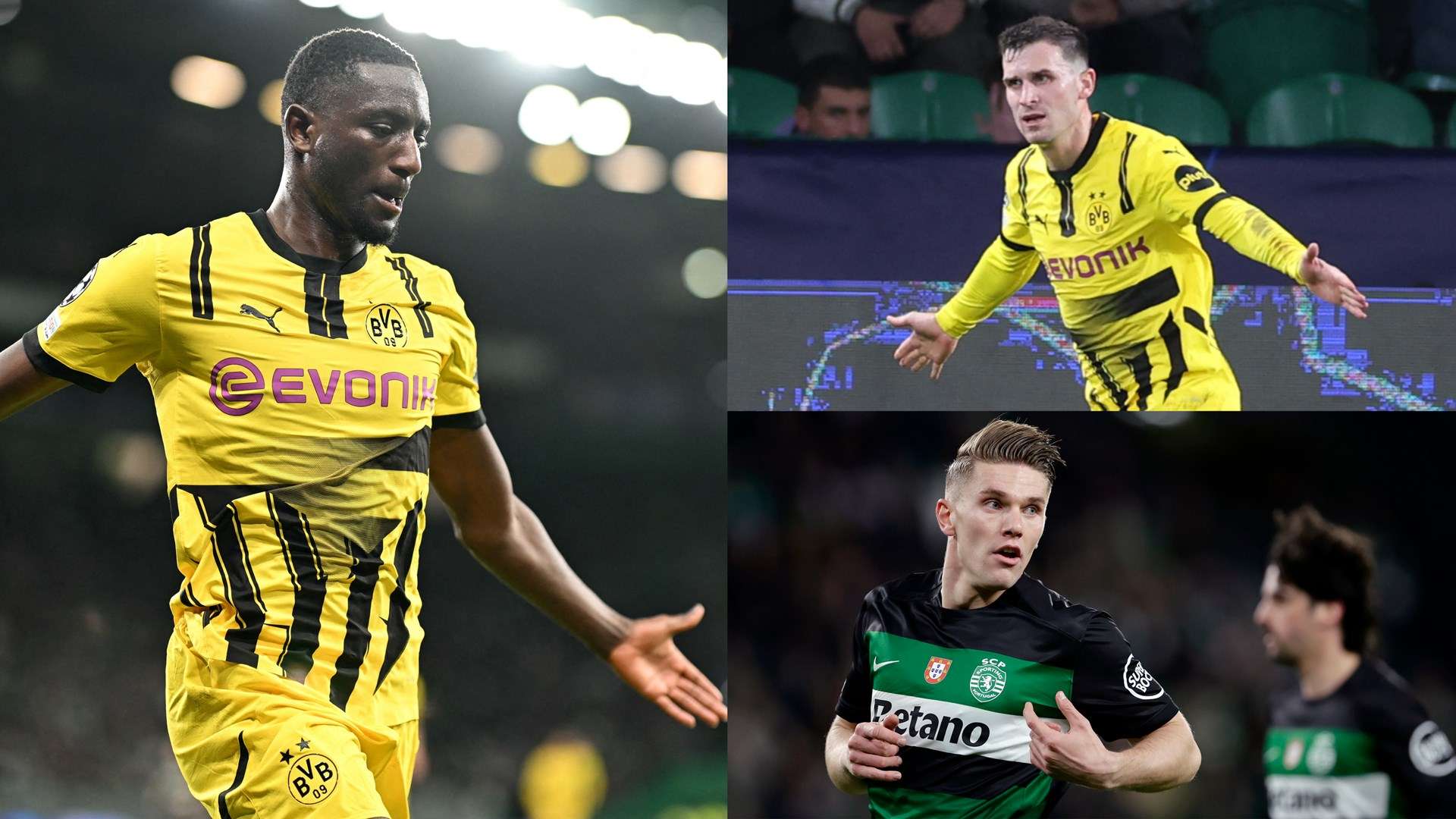 积极的联系 积极的联系