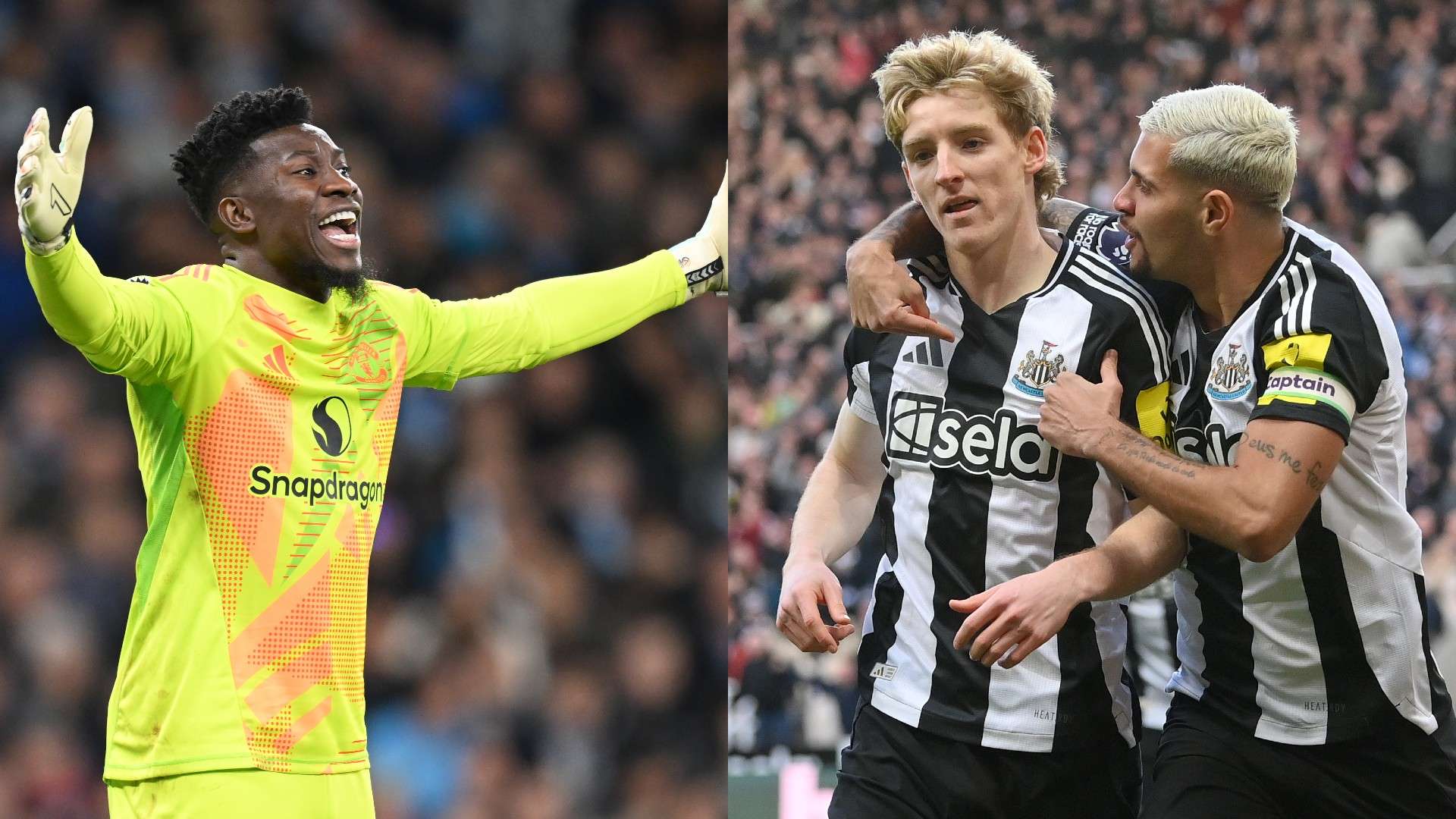 这一消息引 这一消息引