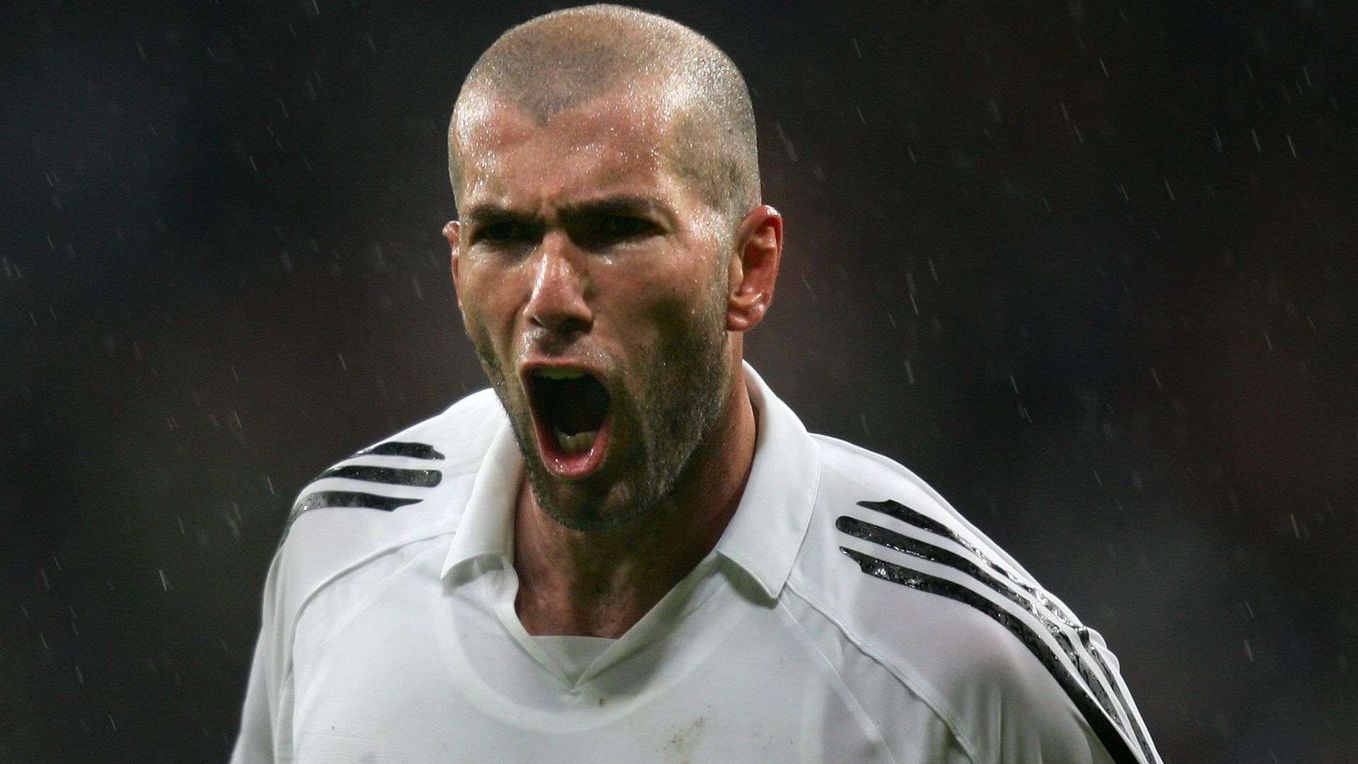 嫩来说至关 嫩来说至关