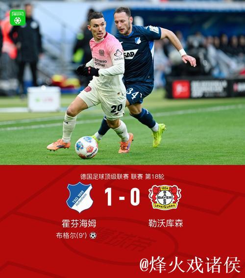 1月14日红王解析:霍芬海姆状态火热有望获胜 1月14日红王解析:霍芬海姆状态火热有望获胜