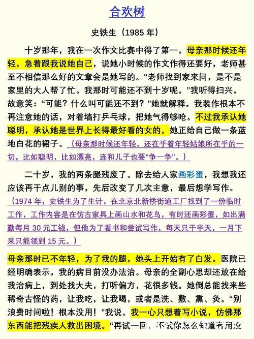 “放弃稳定工作、倾尽积蓄：中国女车手书写历史的故事”